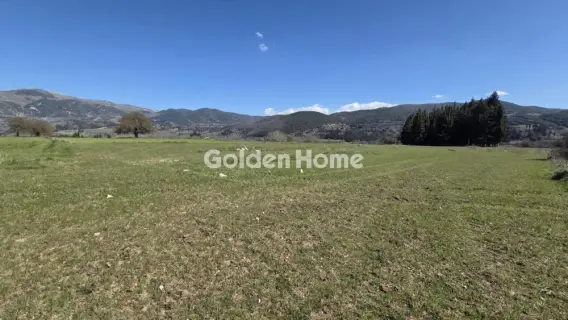 Αγροτεμάχιο 2000τ.μ. προς πώληση φωτογραφία 5332630