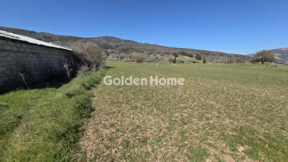 Αγροτεμάχιο 2000τ.μ. προς πώληση φωτογραφία 5332632