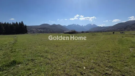 Αγροτεμάχιο 2000τ.μ. προς πώληση φωτογραφία 5332627