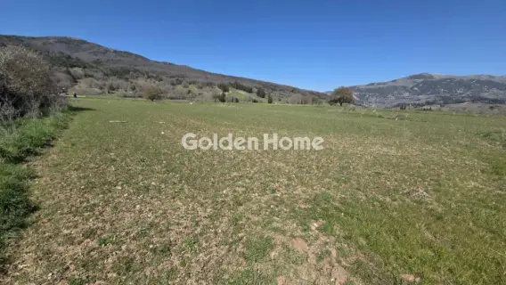 Αγροτεμάχιο 2000τ.μ. προς πώληση φωτογραφία 5332633