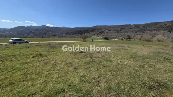 Αγροτεμάχιο 2000τ.μ. προς πώληση φωτογραφία 5332635