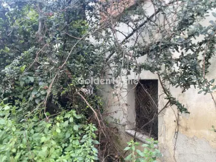 House 119m<sup>2</sup> for sale photo 2