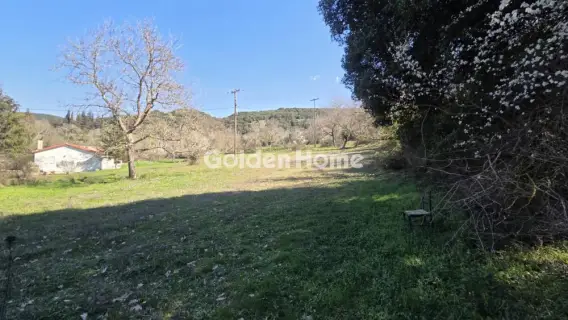 Residential 1822m<sup>2</sup> for sale photo 5332691