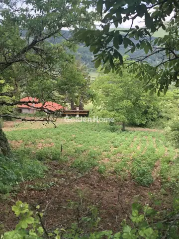 Οικιστικό 2000τ.μ. προς πώληση φωτογραφία 5332689