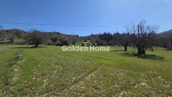 Parcel 1000m<sup>2</sup> for sale photo 5332678