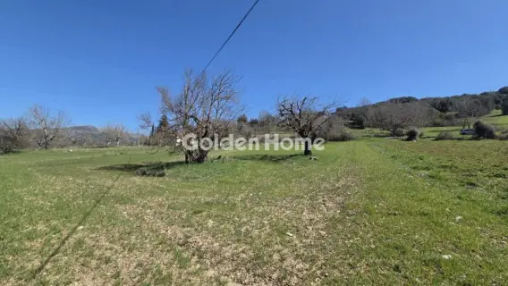 Parcel 1000m<sup>2</sup> for sale photo 5332678