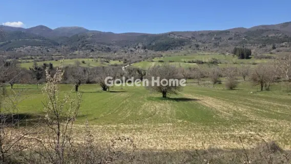 Parcel 1000m<sup>2</sup> for sale photo 5332678