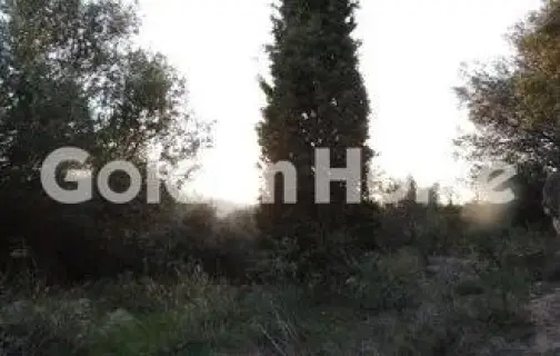 Residential 406m<sup>2</sup> for sale photo 5333031