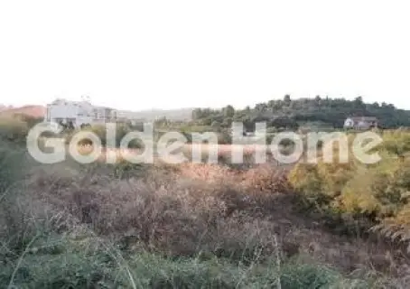 Residential 416m<sup>2</sup> for sale photo 5333112