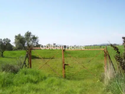 Αγροτεμάχιο 16000τ.μ. προς πώληση φωτογραφία 5333285