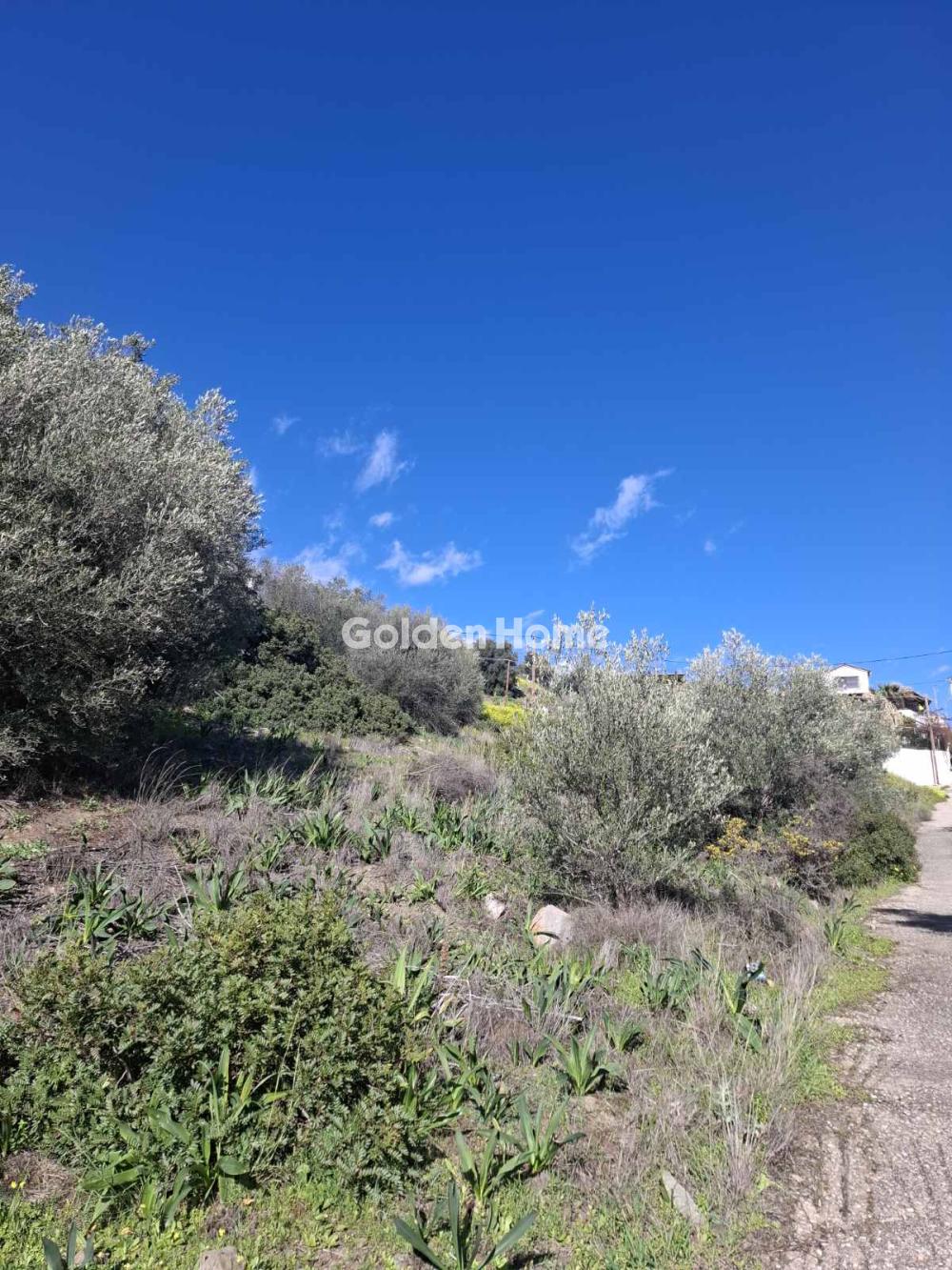 Αγροτεμάχιο 530τ.μ. προς πώληση φωτογραφία προβολής