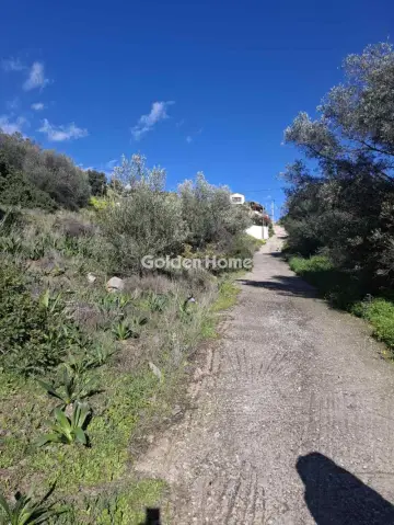 Αγροτεμάχιο 200τ.μ. προς πώληση φωτογραφία 5346905