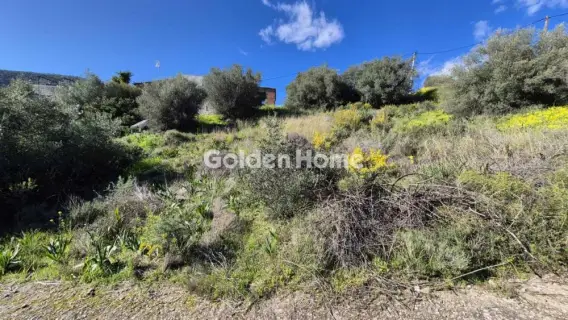 Αγροτεμάχιο 200τ.μ. προς πώληση φωτογραφία 5346906