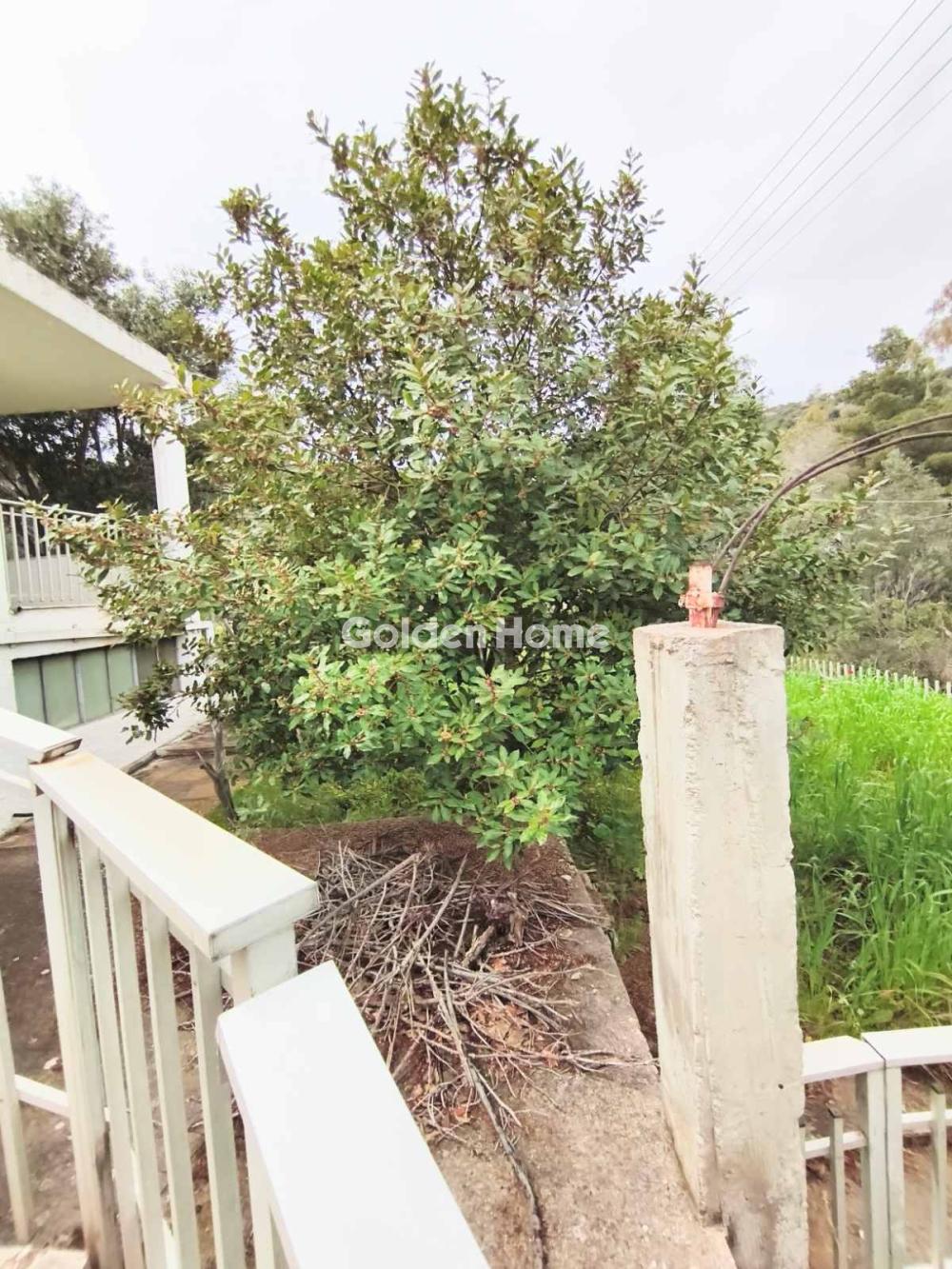 Μονοκατοικία 125τ.μ. προς πώλησηφωτογραφία 51