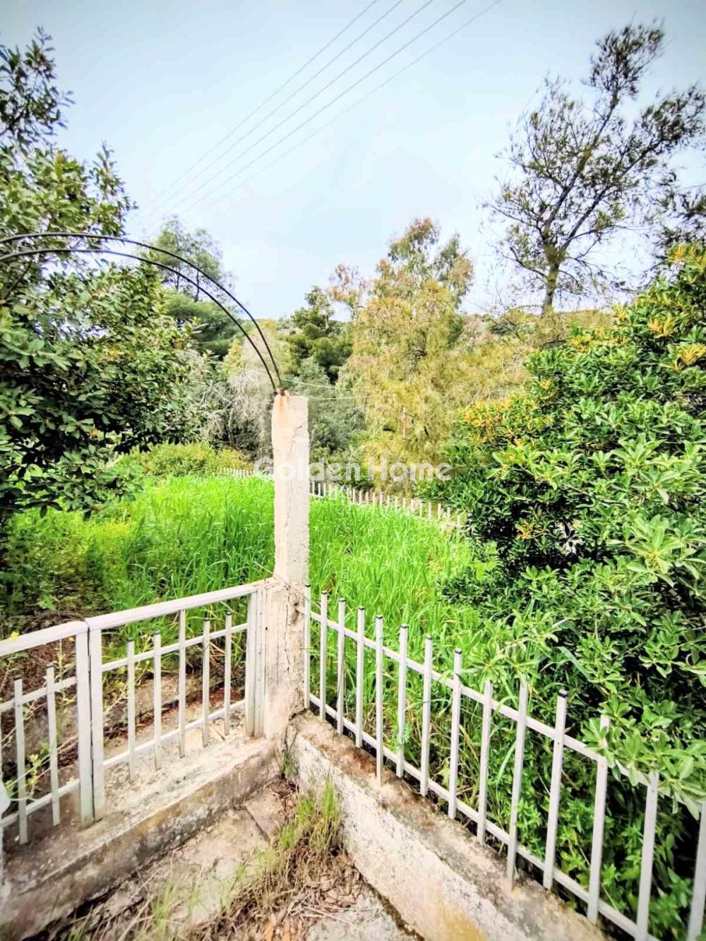 Μονοκατοικία 125τ.μ. προς πώλησηφωτογραφία 54