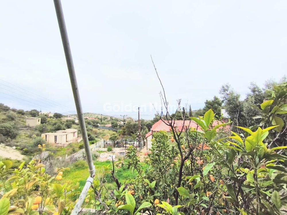 Μονοκατοικία 125τ.μ. προς πώλησηφωτογραφία 55