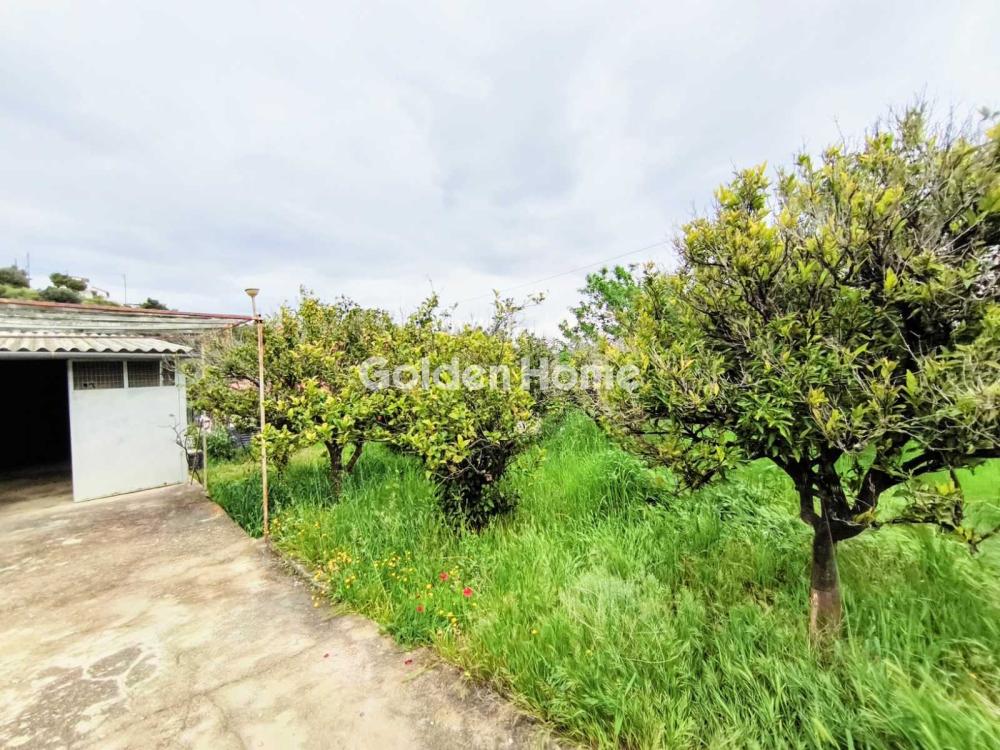 Μονοκατοικία 125τ.μ. προς πώλησηφωτογραφία 59