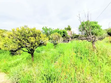 House 125m<sup>2</sup> for sale photo 60