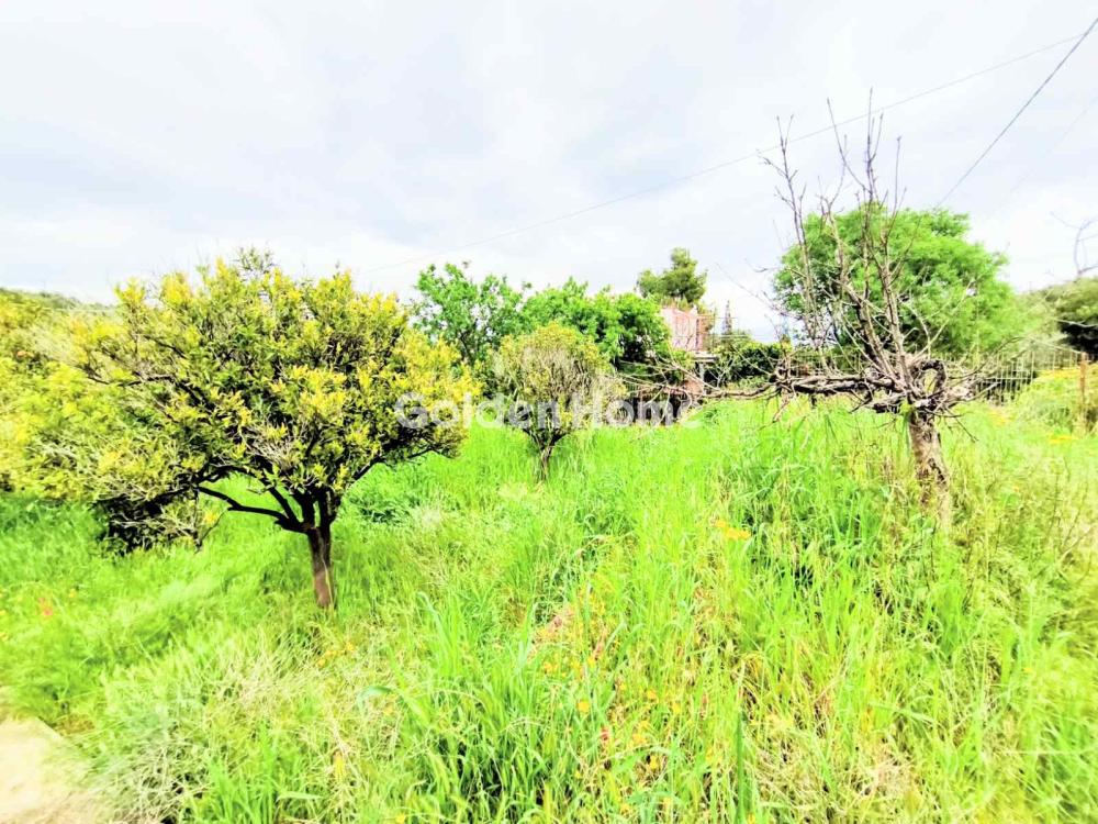 Μονοκατοικία 125τ.μ. προς πώλησηφωτογραφία 60