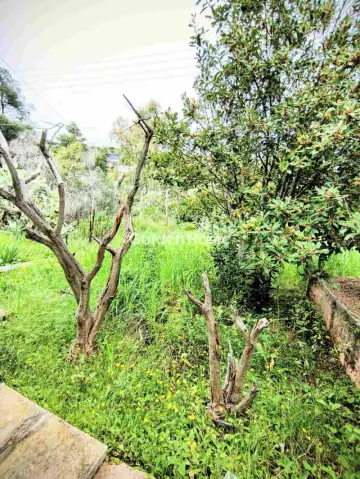 House 125m<sup>2</sup> for sale photo 4