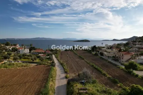 Οικιστικό 490τ.μ. προς πώληση φωτογραφία 5359411