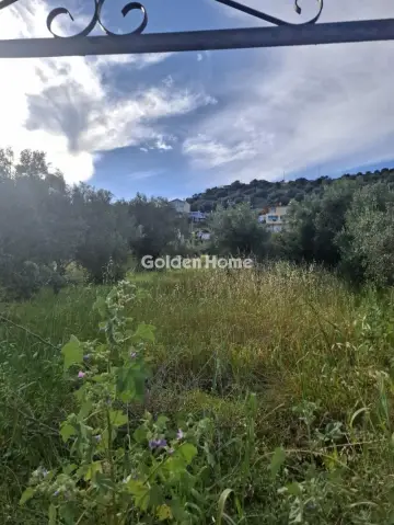 Οικιστικό 490τ.μ. προς πώληση φωτογραφία 5359413