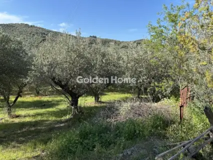 Parcel 2491m<sup>2</sup> for sale photo 5