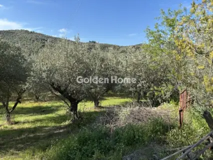 Parcel 2491m<sup>2</sup> for sale photo 6