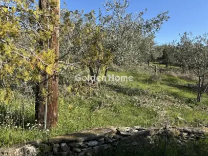 Parcel 2491m<sup>2</sup> for sale photo 8