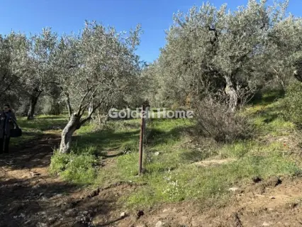 Parcel 2491m<sup>2</sup> for sale photo 9