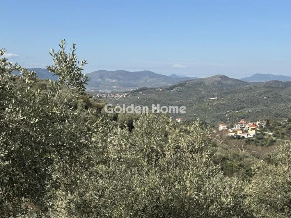 Residential 2491m<sup>2</sup> for sale display photo