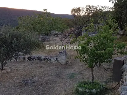 Οικιστικό 2100τ.μ. προς πώληση φωτογραφία 5334674