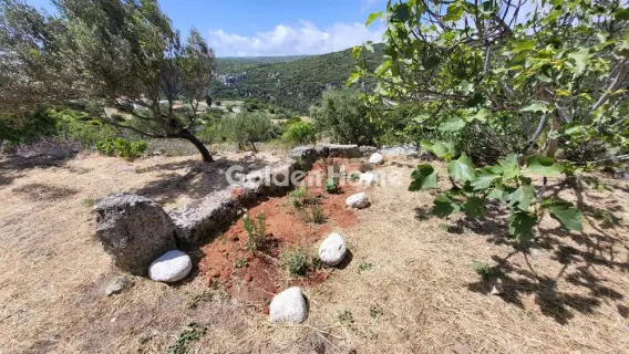 Οικιστικό 2100τ.μ. προς πώληση φωτογραφία 5334668