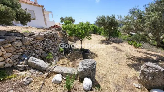 Οικιστικό 2100τ.μ. προς πώληση φωτογραφία 5334661