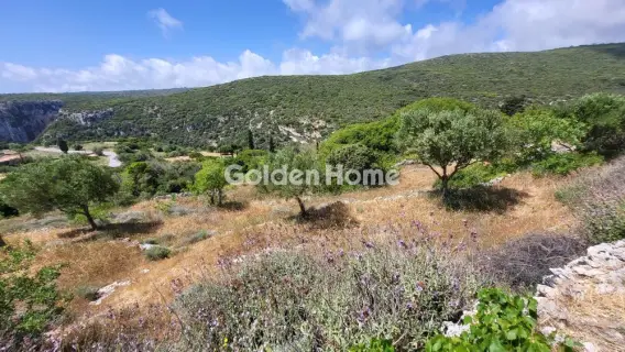 Οικιστικό 2100τ.μ. προς πώληση φωτογραφία 5334662