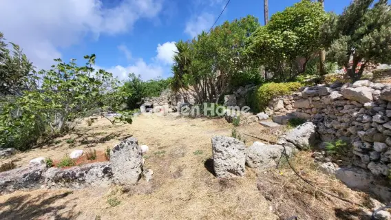 Οικιστικό 2100τ.μ. προς πώληση φωτογραφία 5334666