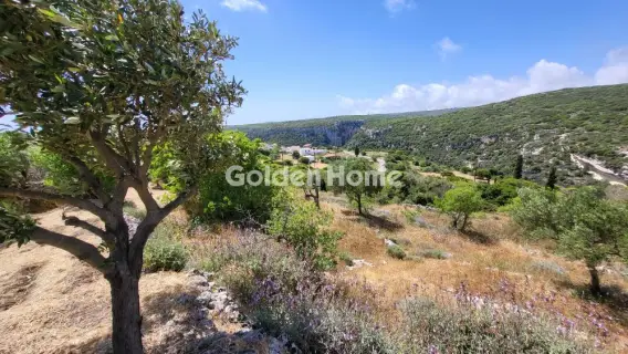 Οικιστικό 2100τ.μ. προς πώληση φωτογραφία 5334663