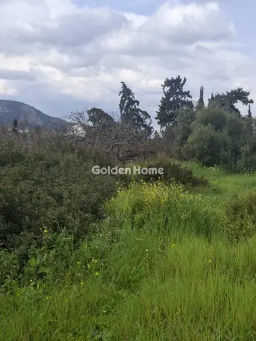 Οικιστικό 390τ.μ. προς πώληση φωτογραφία 5355765