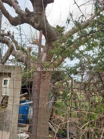 Μονοκατοικία 80τ.μ. προς πώληση φωτογραφία 5340924