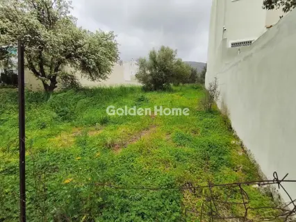 Professional Plot 305m<sup>2</sup> for sale photo 5346060