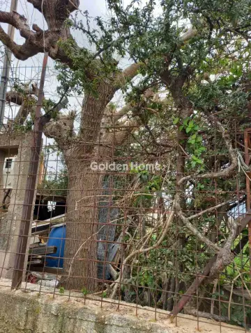 Οικιστικό 690τ.μ. προς πώληση φωτογραφία 5340903