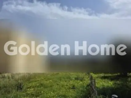 Residential 546m<sup>2</sup> for sale photo 5337097