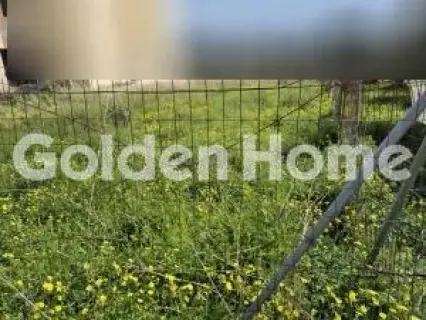 Residential 546m<sup>2</sup> for sale photo 5337097