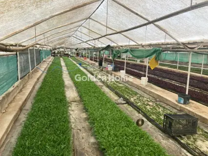 Professional Plot 1900m<sup>2</sup> for sale photo 5338172