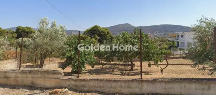 Residential 400m<sup>2</sup> for sale photo 5337983