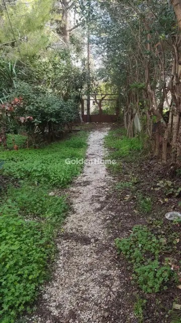 Οικιστικό 230τ.μ. προς πώληση φωτογραφία 4