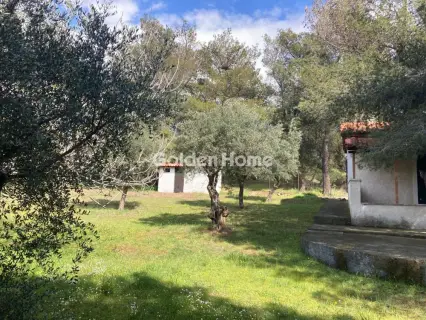 Αγροτεμάχιο 1720τ.μ. προς πώληση φωτογραφία 5344522