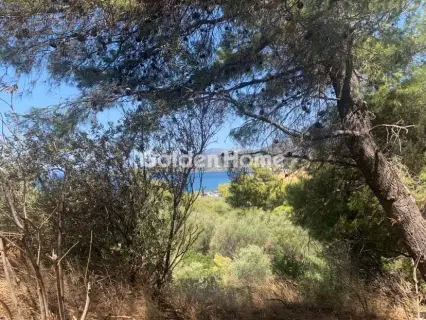 Οικιστικό 512τ.μ. προς πώληση φωτογραφία 5341065