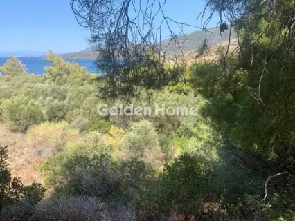 Οικιστικό 512τ.μ. προς πώληση φωτογραφία 5341066