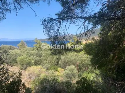 Οικιστικό 512τ.μ. προς πώληση φωτογραφία 5341068